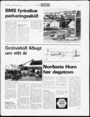 Síða 3