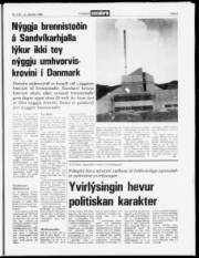 Síða 3