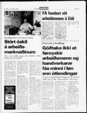 Síða 15