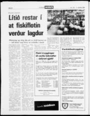 Síða 20