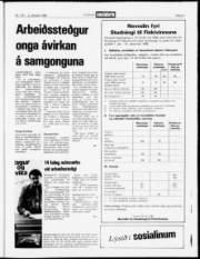 Síða 21