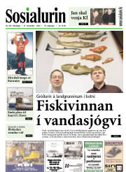 Síða 1