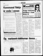 Síða 2