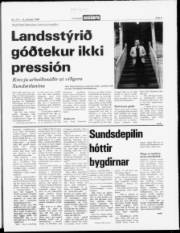 Síða 3