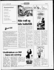 Síða 23