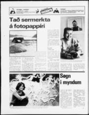 Síða 24