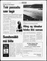 Síða 3
