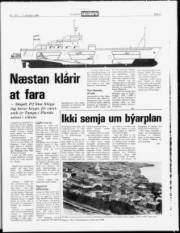Síða 5
