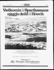 Síða 9