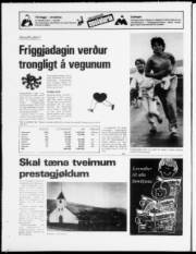 Síða 20