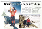Síða 8