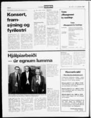 Síða 8