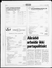 Síða 20