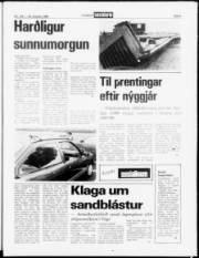 Síða 5