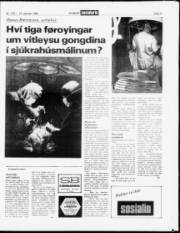 Síða 17