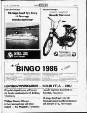 Síða 19