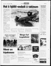 Síða 23