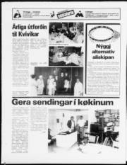Síða 24