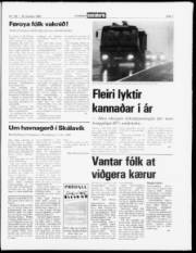 Síða 7