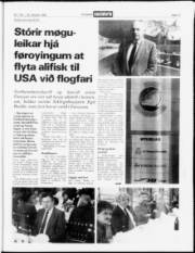 Síða 17