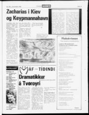 Síða 19