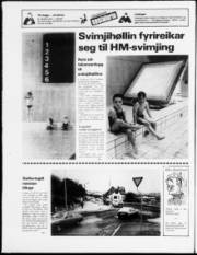 Síða 20