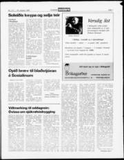 Síða 7