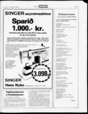 Síða 19