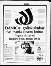 Síða 21