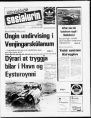 Síða 1
