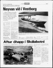 Síða 5