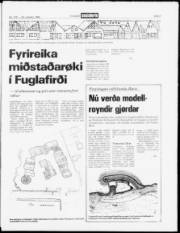 Síða 3