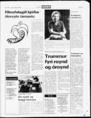 Síða 19
