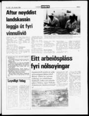 Síða 5