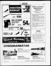 Síða 17
