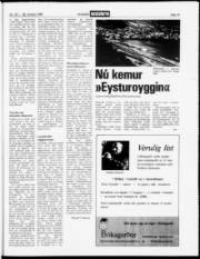 Síða 19