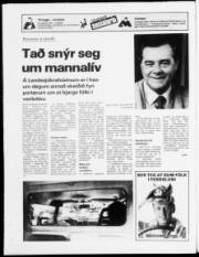 Síða 24