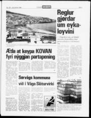 Síða 3