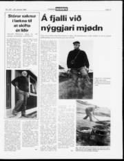 Síða 11
