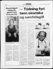 Síða 12