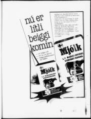 Síða 17