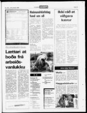 Síða 19