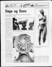 Síða 20