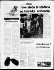 Síða 4
