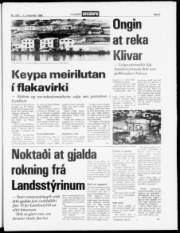 Síða 5