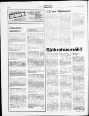 Síða 6