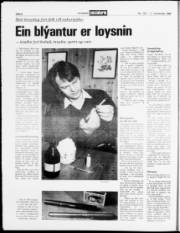 Síða 8