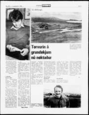Síða 9