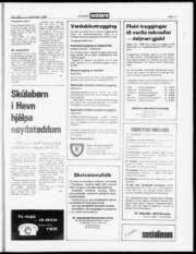 Síða 17