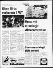 Síða 19